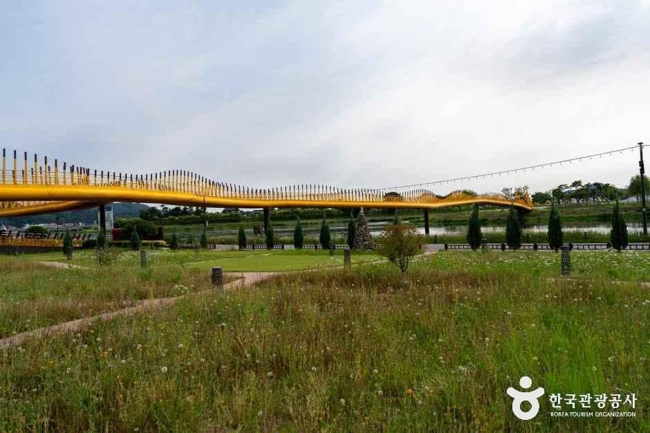 황룡강 생태공원 사진 7