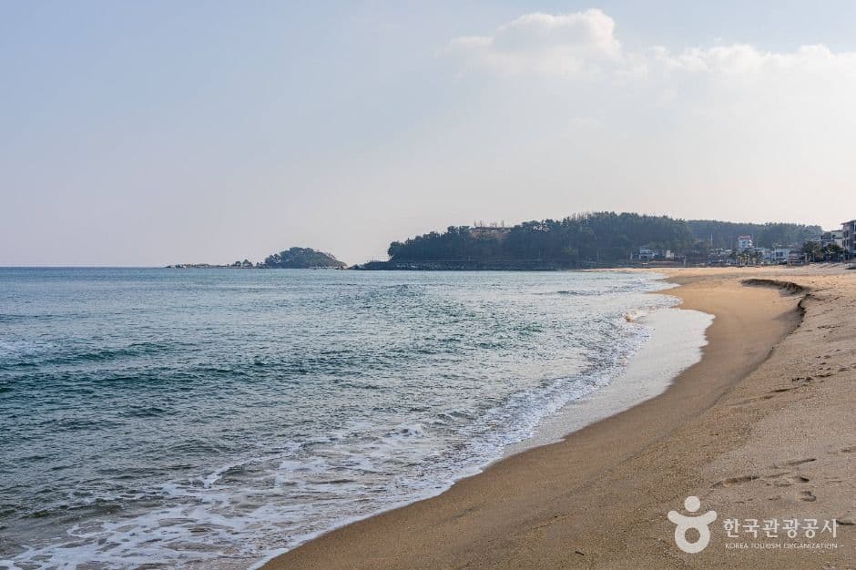 초도해변 사진 5