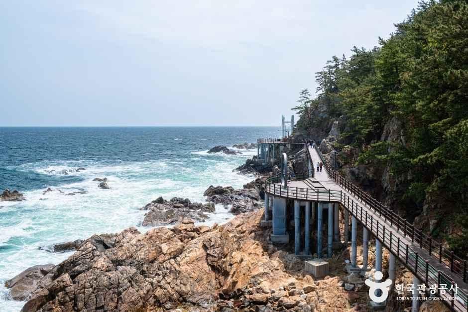 초곡 용굴촛대바위길 사진 6