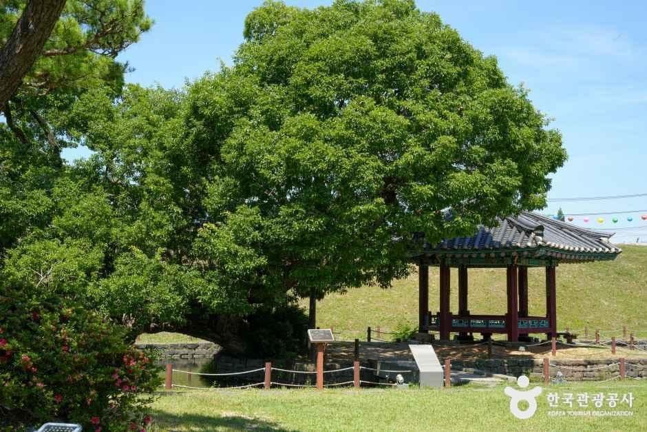홍성 홍주읍성 사진 6
