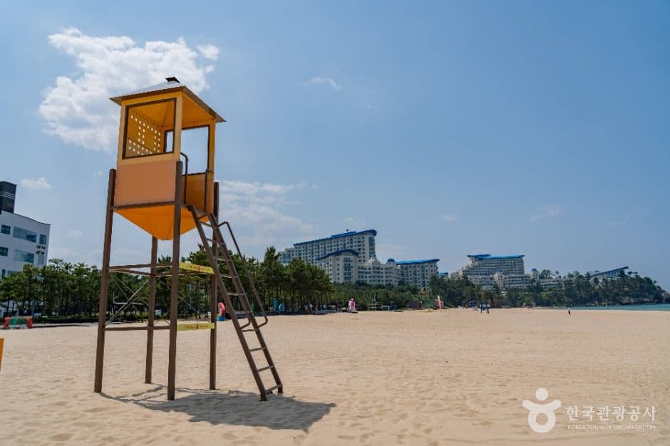 삼척해변 사진 7
