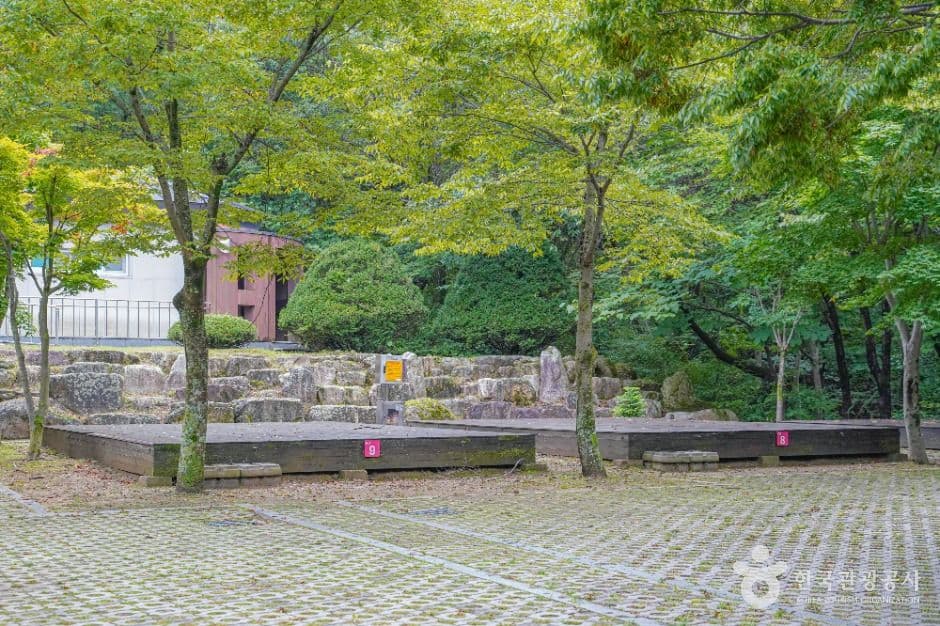 와룡자연휴양림 사진 1