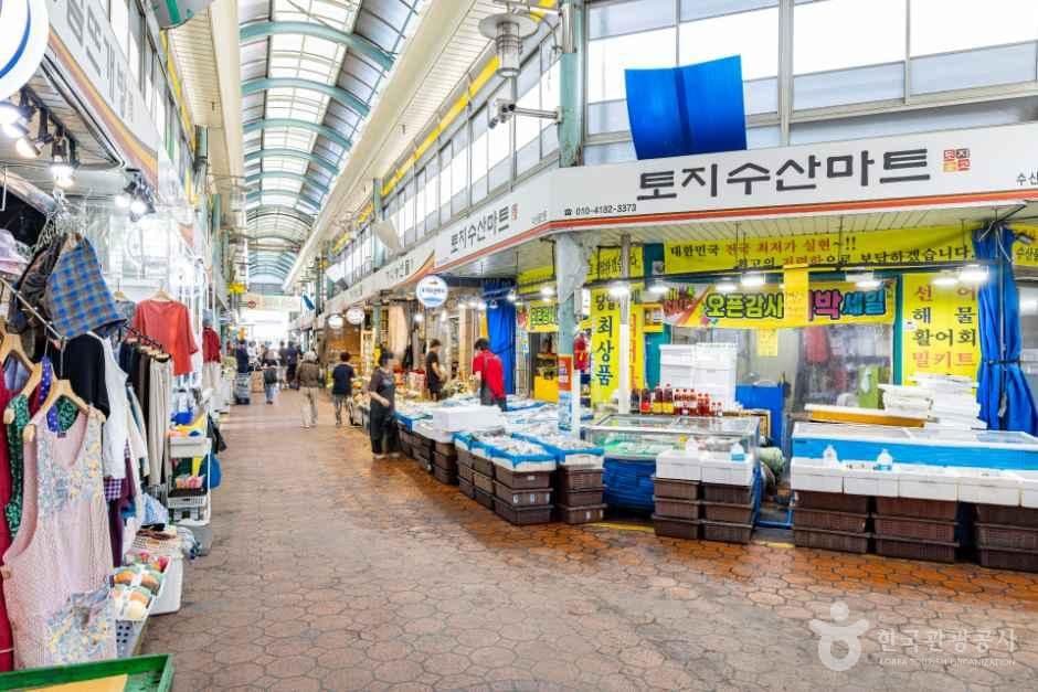토지금고시장 사진 6