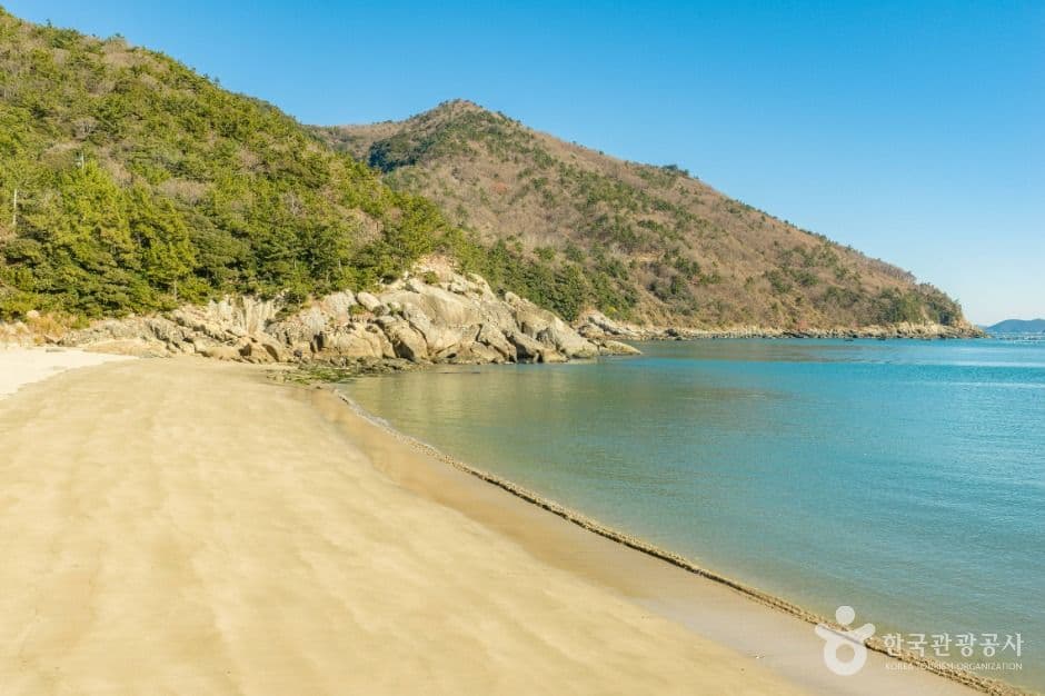 가사동백숲해변 사진 1