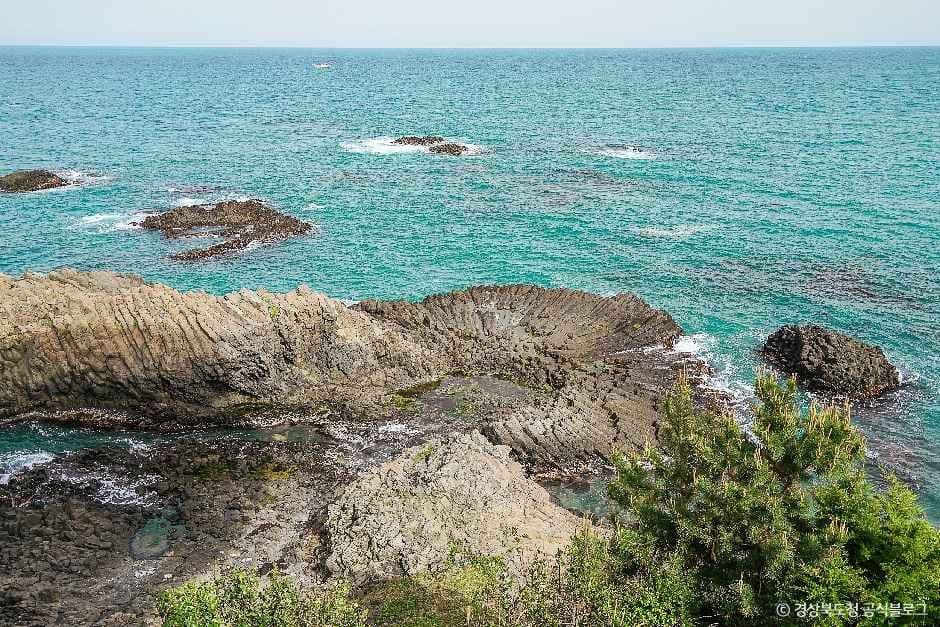 경주 양남 주상절리군