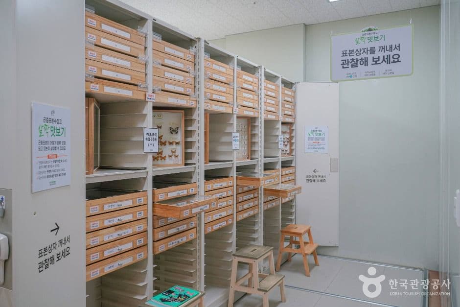 용인 곤충테마파크 사진 4