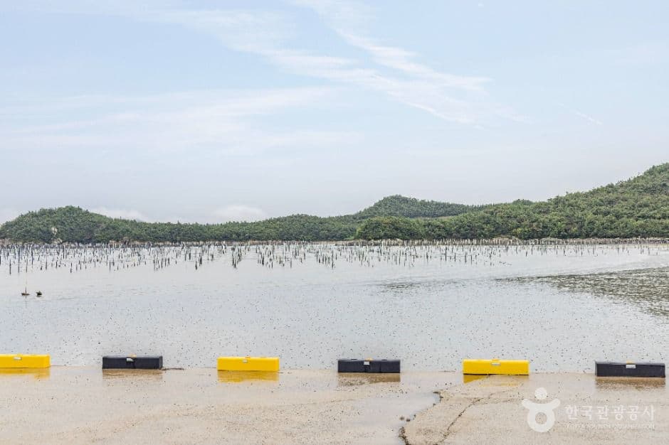 자은고교여객선터미널 사진 1