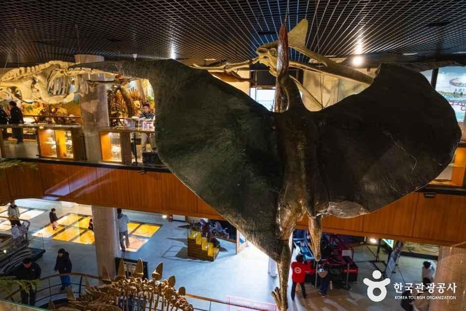 안면도 쥬라기박물관 사진 7