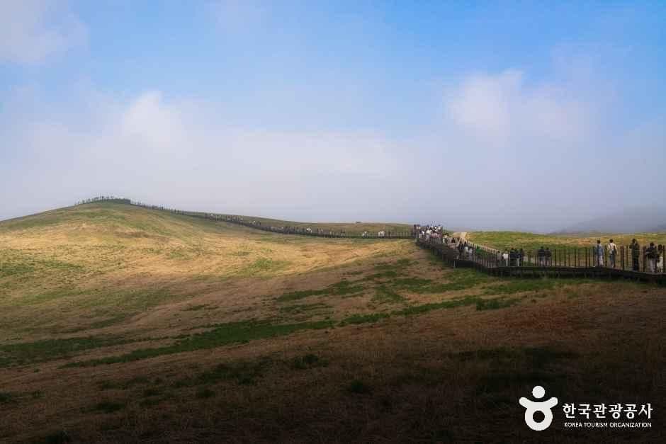 서산한우목장 웰빙산책로 사진 2