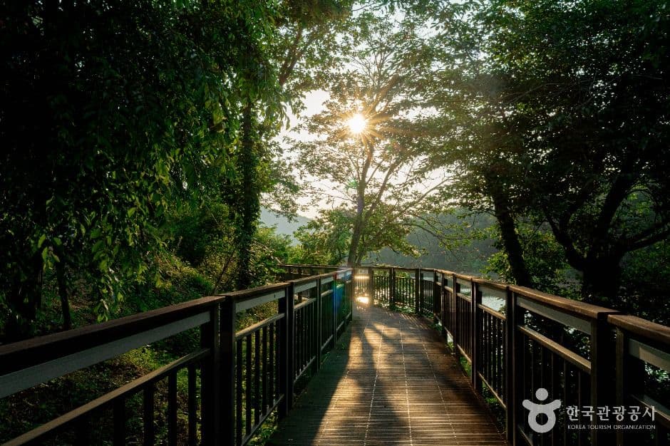 청계호수 사진 3