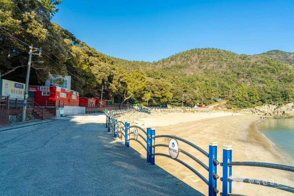 가사동백숲해변 사진 5