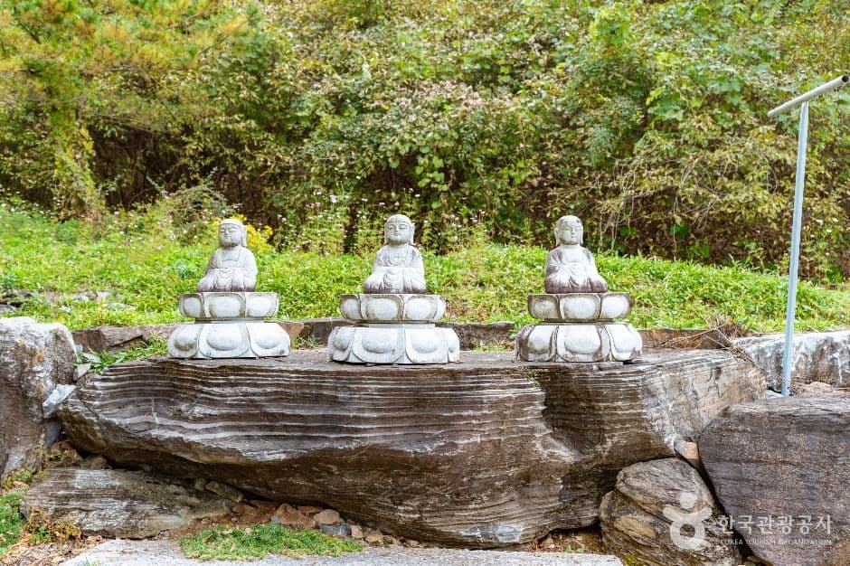 반야사(논산) 사진 3