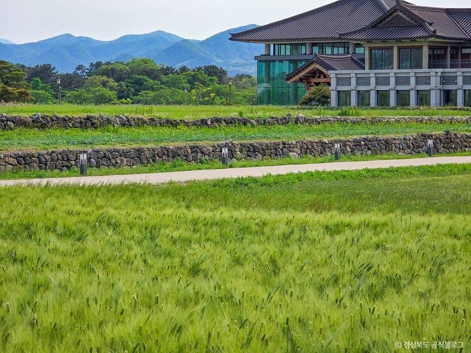 경주 황룡사지