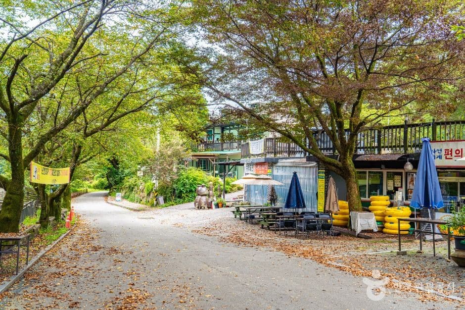수락폭포 사진 6