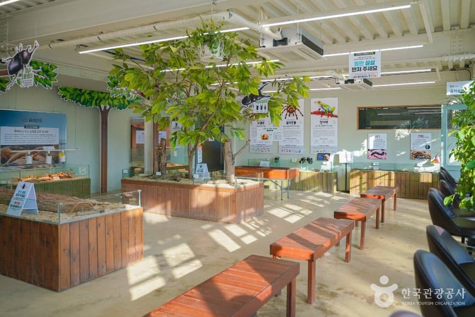 용인 곤충테마파크 사진 7