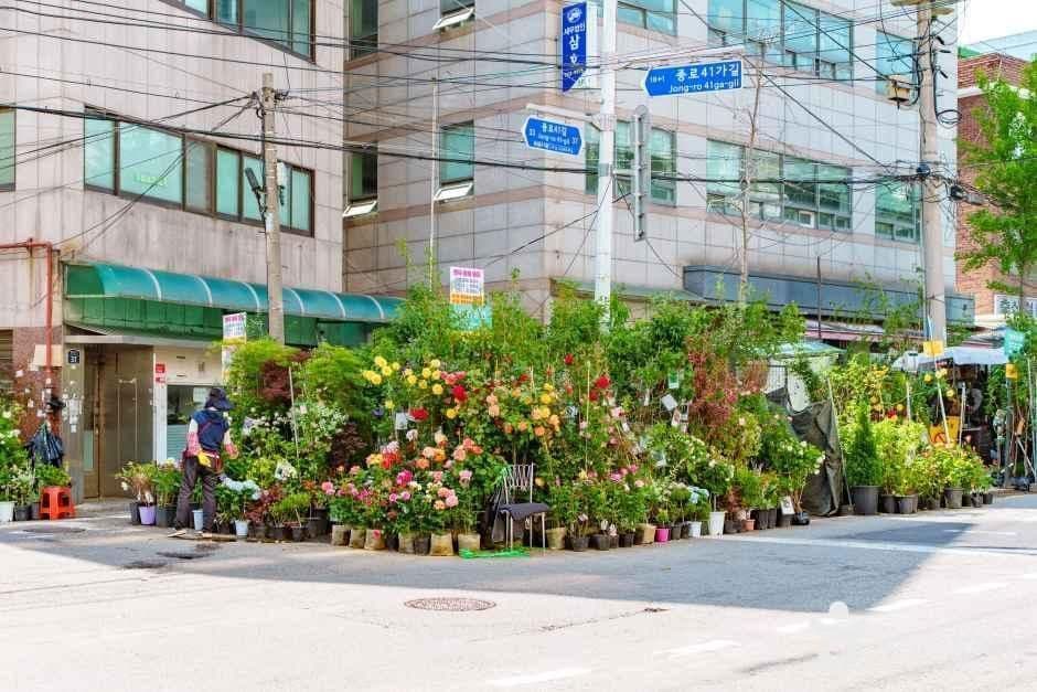 종로꽃시장 사진 1