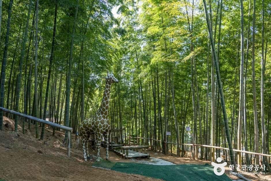거제맹종죽테마공원 사진 6