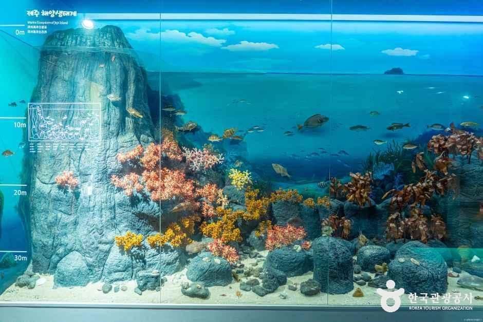제주 세계자연유산센터 사진 2