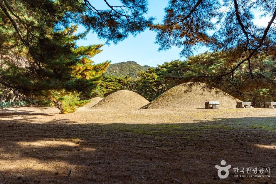 경주 배동 삼릉 사진 2