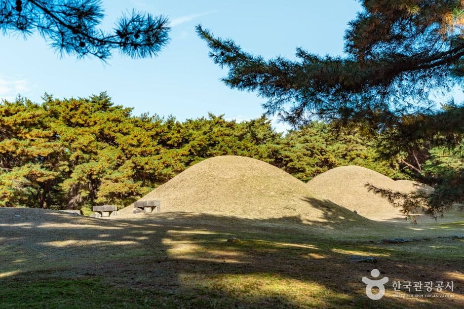 경주 배동 삼릉 사진 3