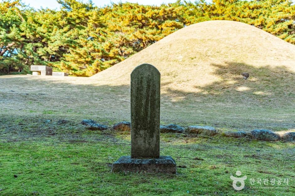 경주 배동 삼릉 사진 4
