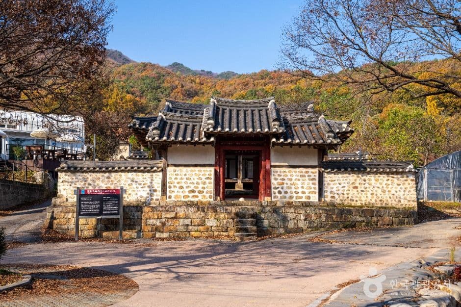 이천 산수유마을 사진 6
