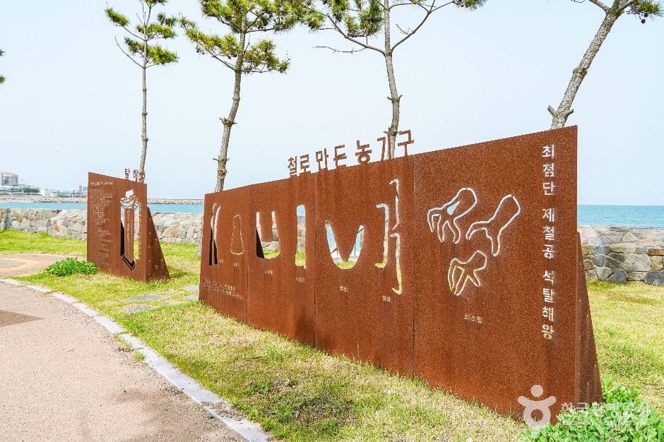 나아해변 사진 3