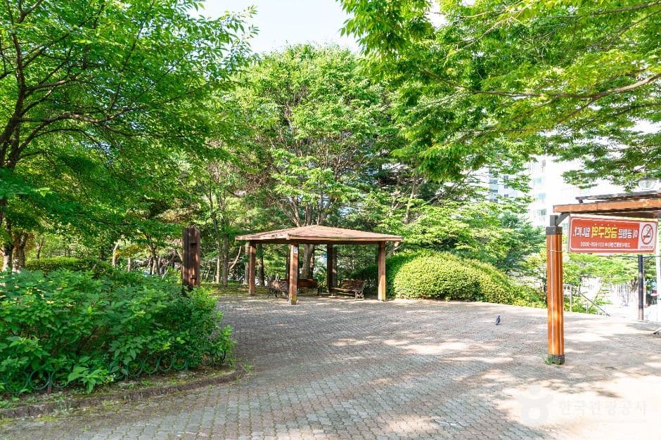 중산체육공원 사진 4