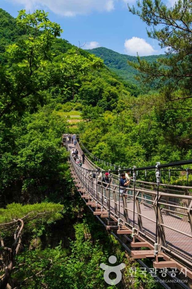재인폭포 출렁다리 사진 3