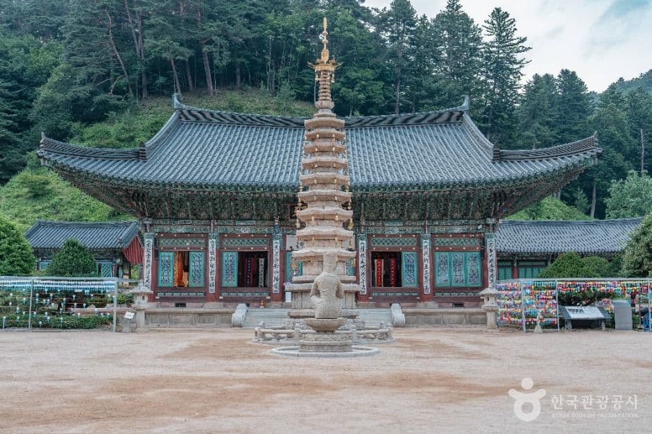 월정사·월정사 전나무숲 사진 2