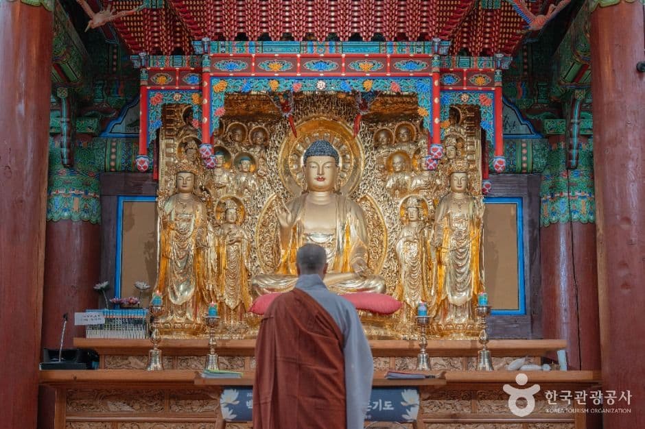 월정사·월정사 전나무숲 사진 3