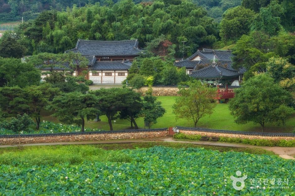 관곡지 사진 1