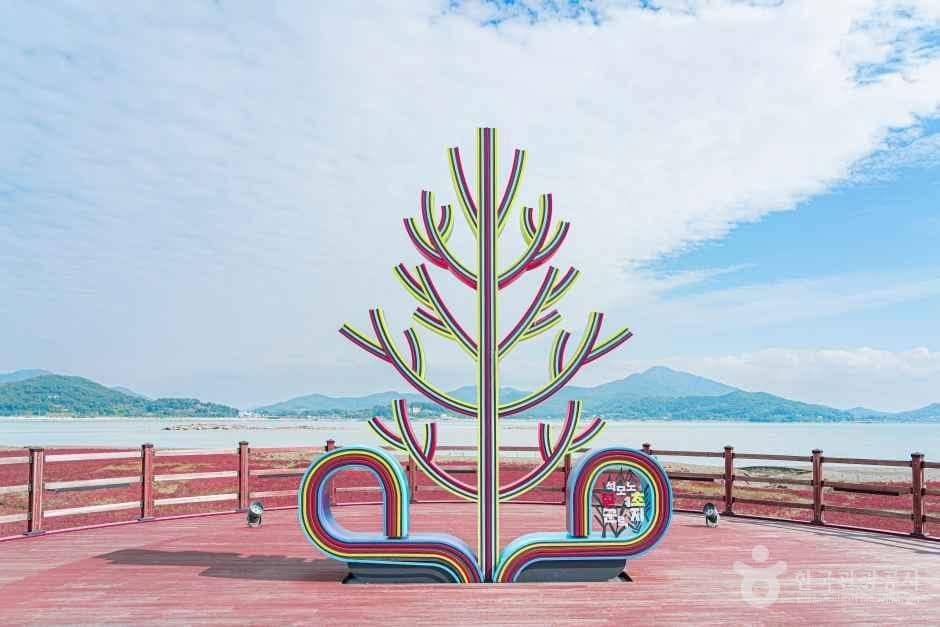 석모도 칠면초 군락지 사진 7